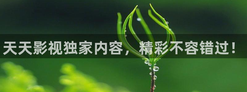 久久盗摄免费视频：天天影视独家内容，精彩不容错过！