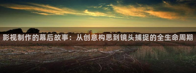 久久这里只有精品视频3：影视制作的幕后故事：从创意构思到镜头捕捉的全生命周期