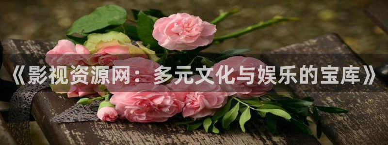 久久精品视频：《影视资源网：多元文化与娱乐的宝库》