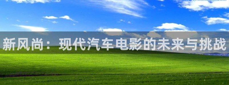 久久电影天堂网：新风尚：现代汽车电影的未来与挑战