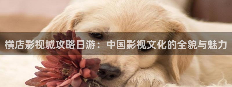 久久论理影院：横店影视城攻略日游：中国影视文化的全貌与魅力