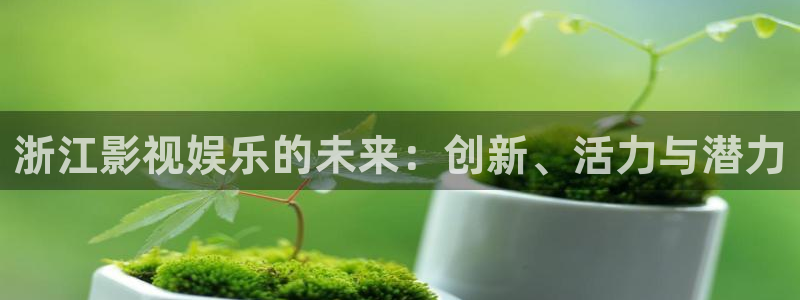 私人小影院久久久影院：浙江影视娱乐的未来：创新、活力与潜力