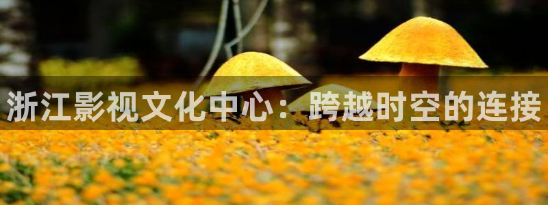 久久免费观看在线看：浙江影视文化中心：跨越时空的连接