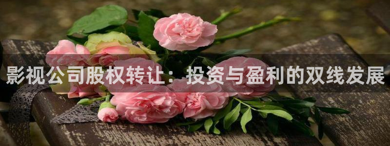 久久中免费观看视频：影视公司股权转让：投资与盈利的双线发展