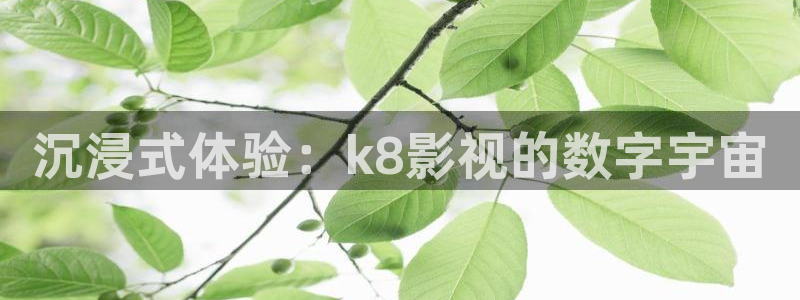久久视频网站：沉浸式体验：k8影视的数字宇宙
