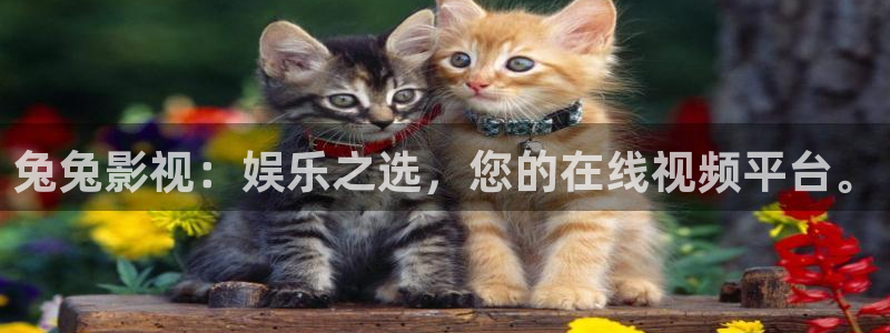 国产精品成人久久久久三级午夜电影：兔兔影视：娱乐之选，您的在线视频平台。