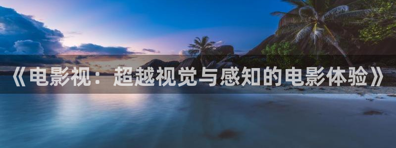 热久久国产视频：《电影视：超越视觉与感知的电影体验》
