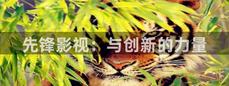 神马久久影院日本视频：先锋影视：与创新的力量